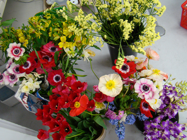 FLOWER1