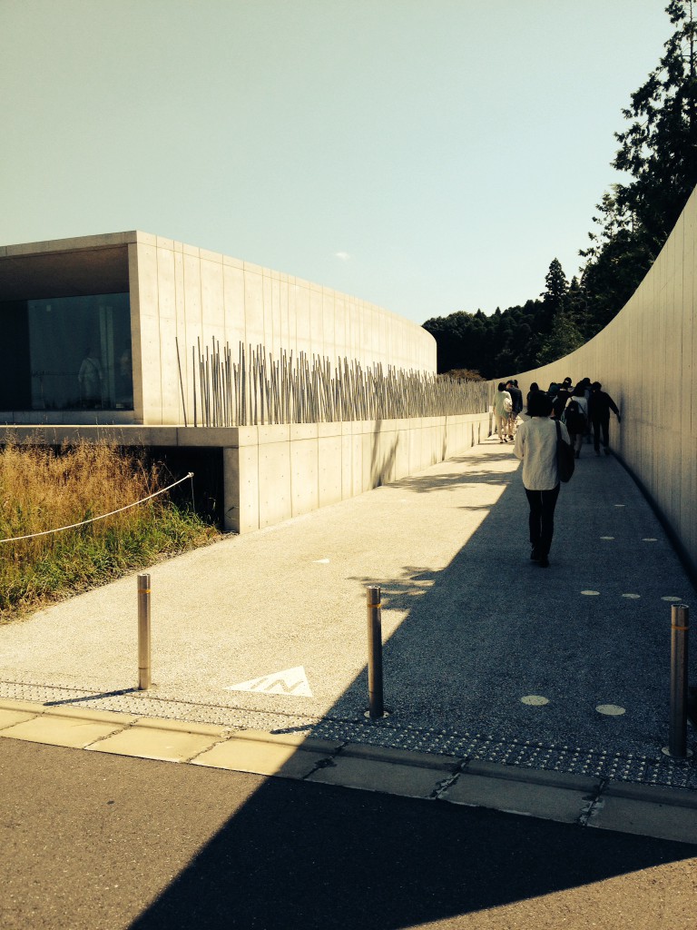 写真 5