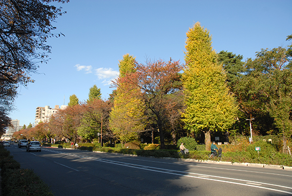 大学通11月15日