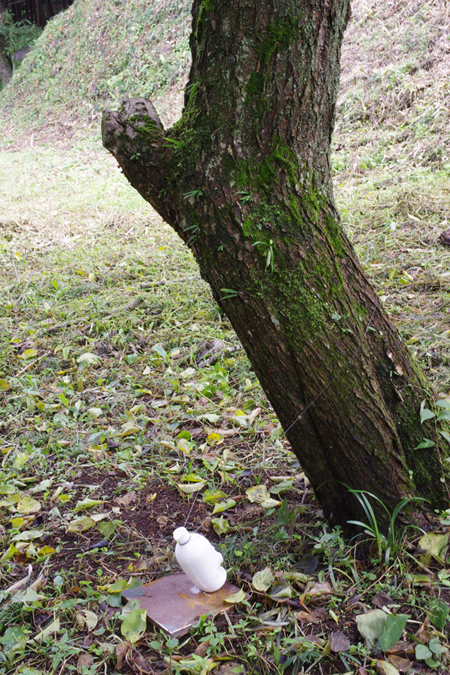 IMGP1103-1