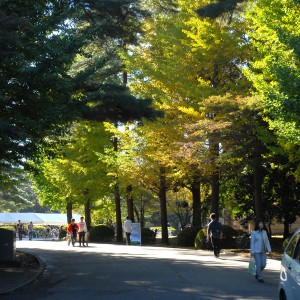 一橋大学