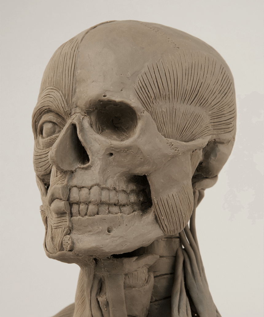 夏期講習会直前講座